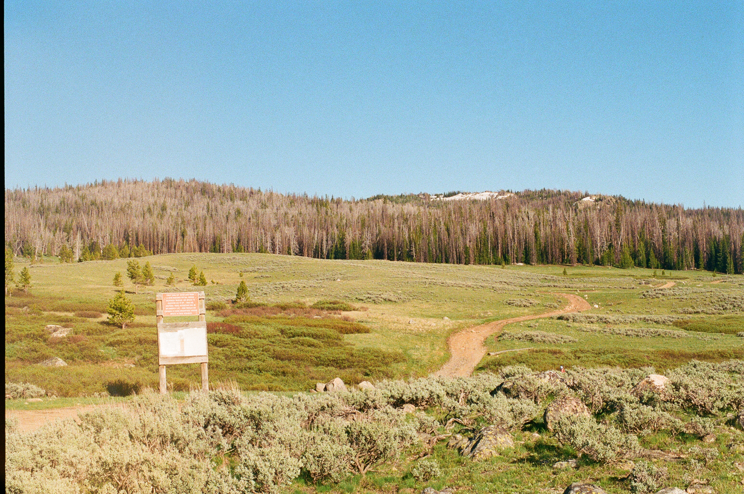 Untitled photograph from Wyoming, June 2026