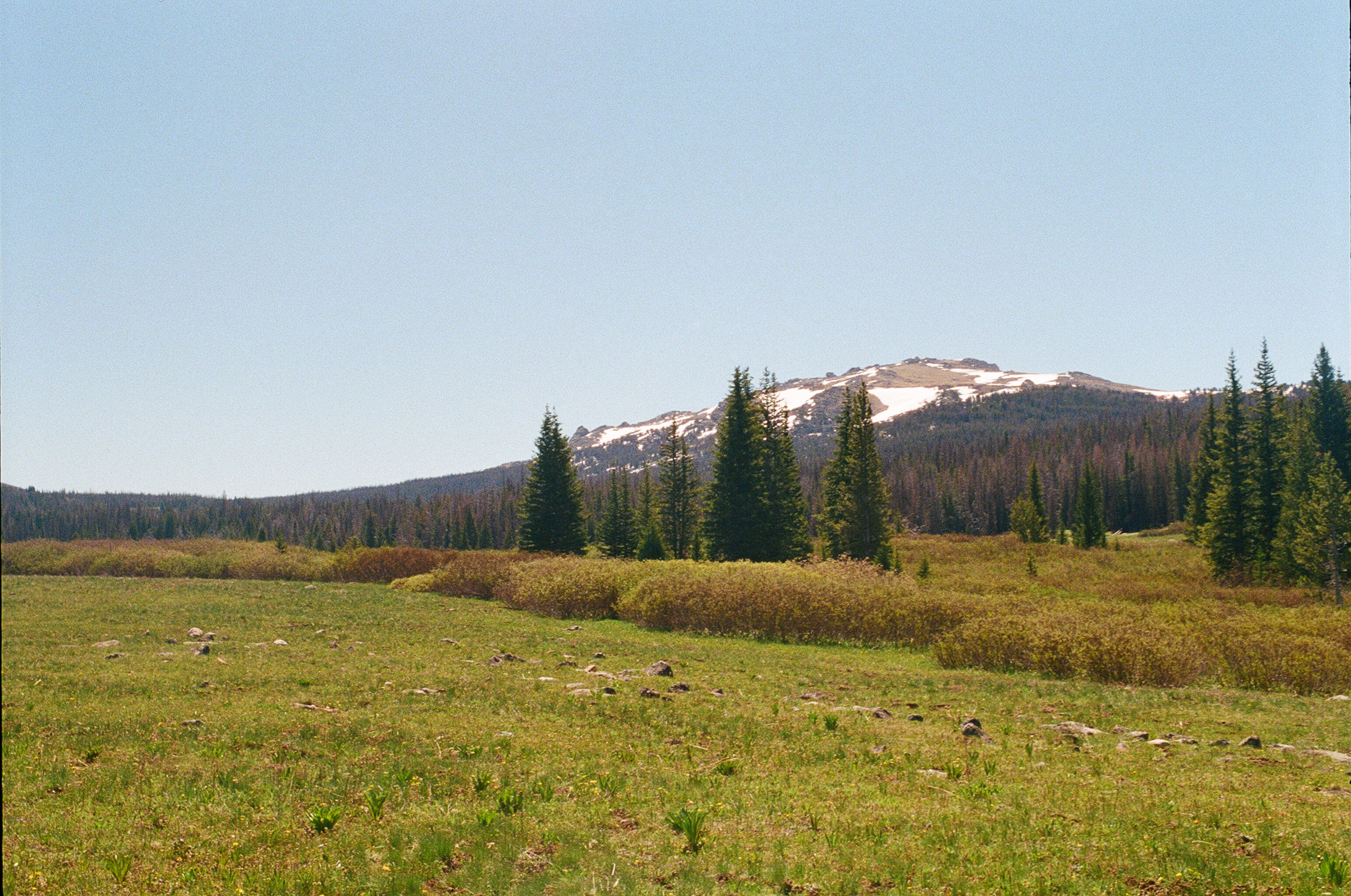 Untitled photograph from Wyoming, June 2026
