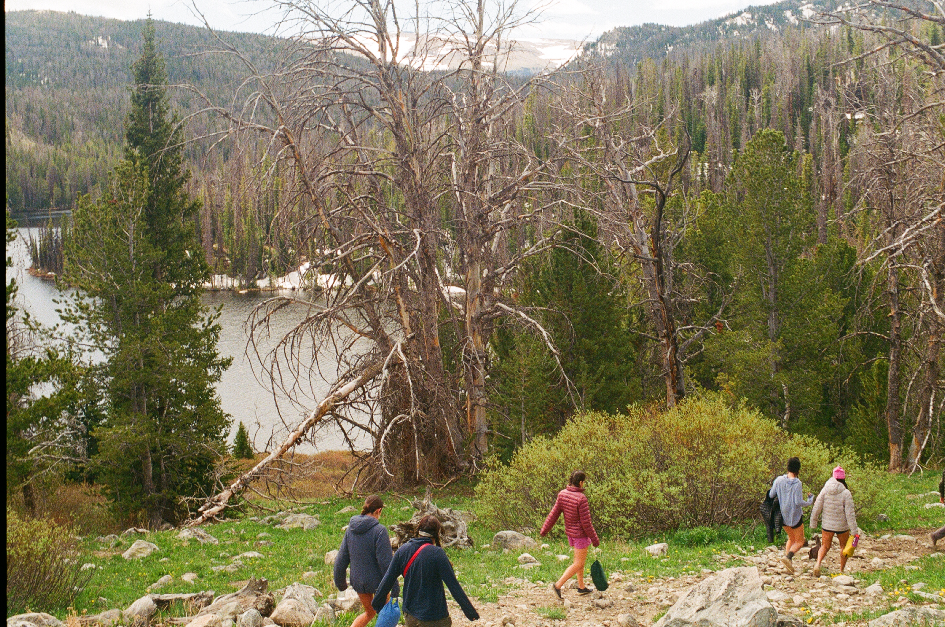 Untitled photograph from Wyoming, June 2026
