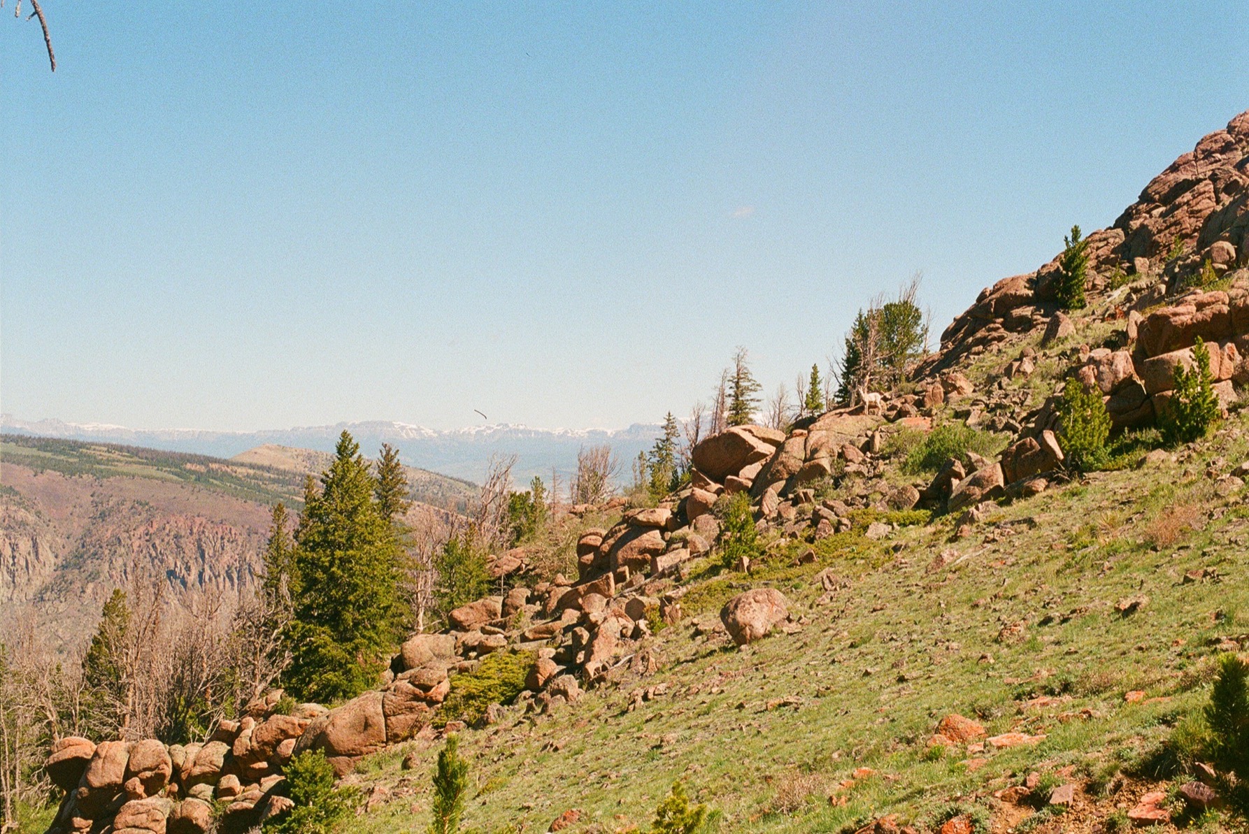 Untitled photograph from Wyoming, June 2026
