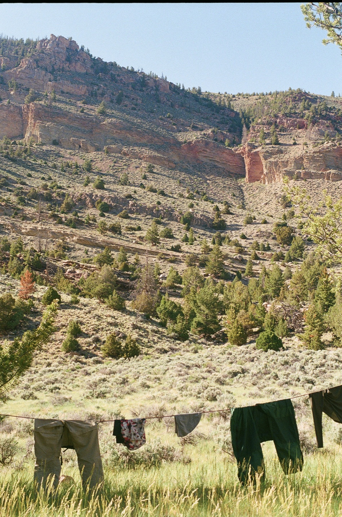 Untitled photograph from Wyoming, June 2026