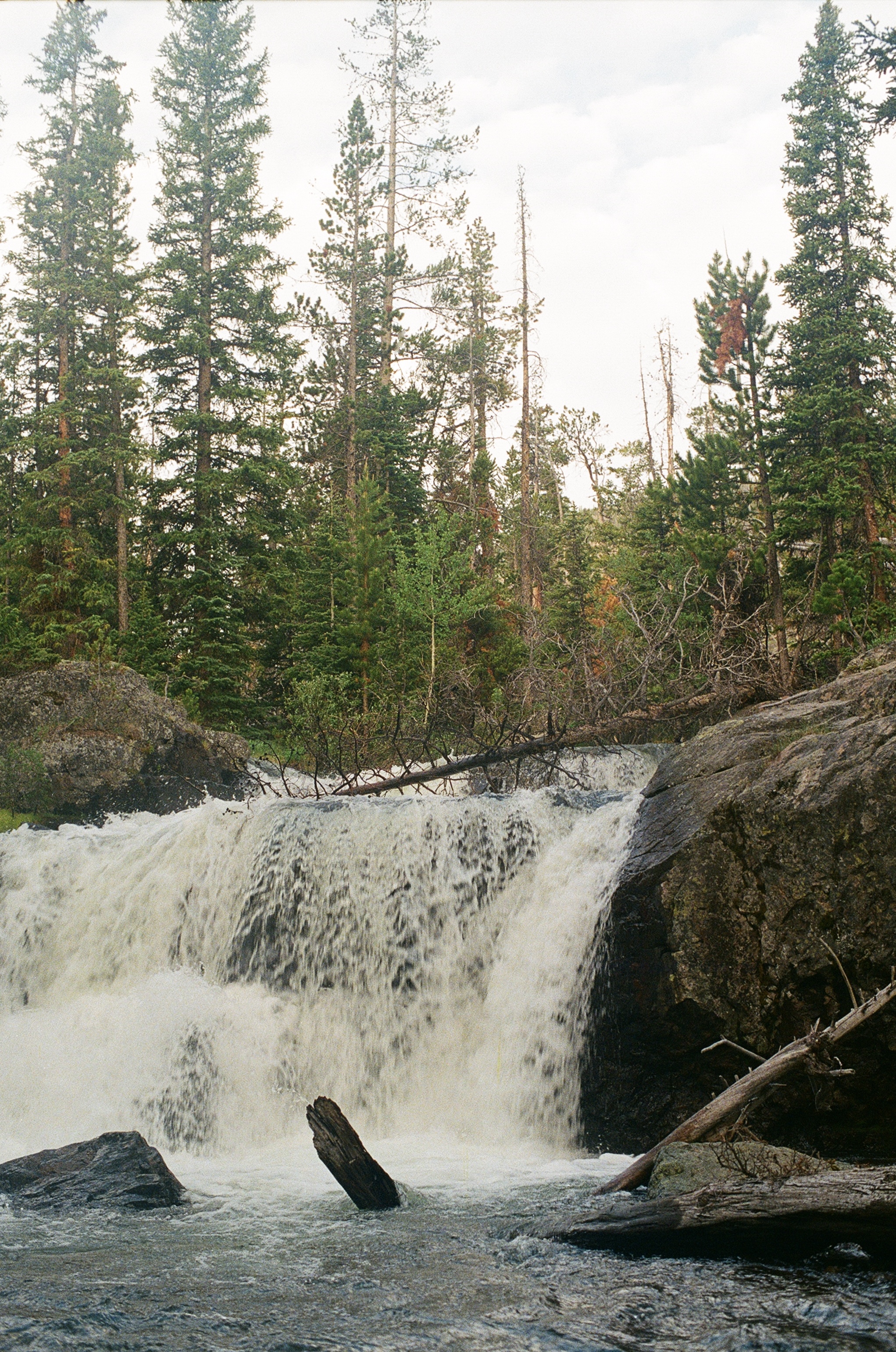 Untitled photograph from Wyoming, June 2026