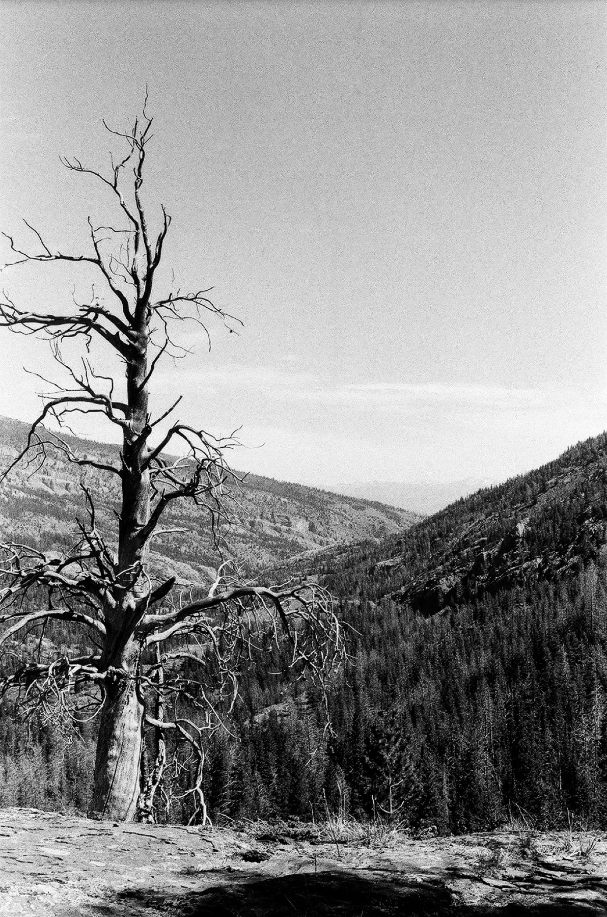 Untitled photograph from Wyoming, June 2026
