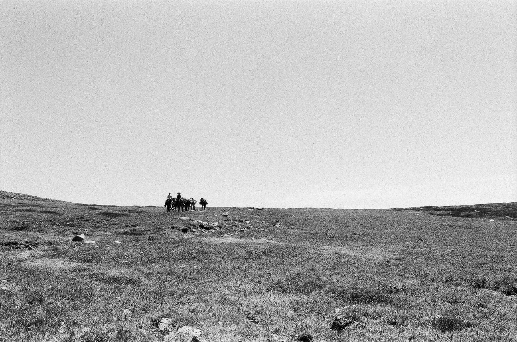 Untitled photograph from Wyoming, June 2026