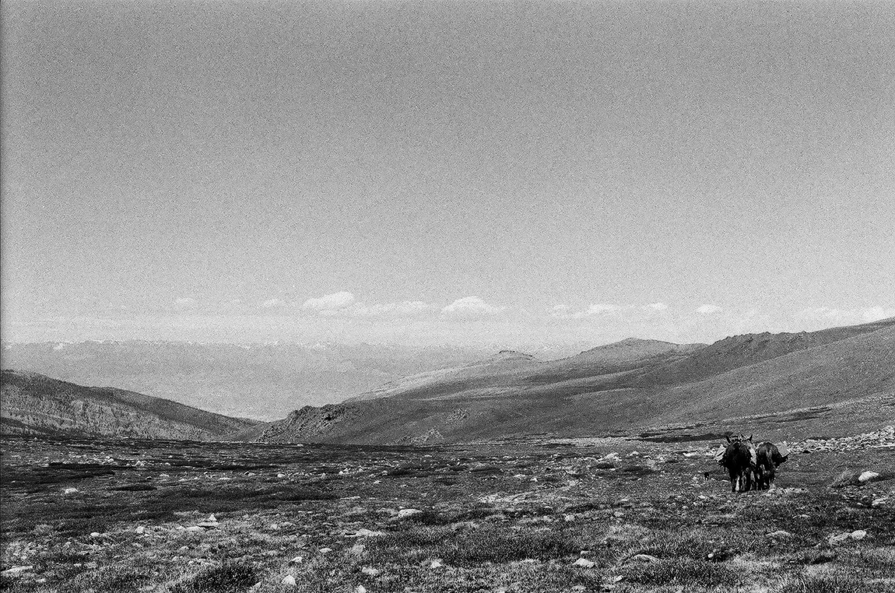 Untitled photograph from Wyoming, June 2026