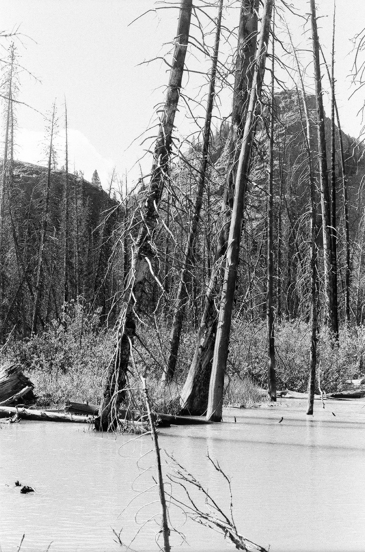 Untitled photograph from Wyoming, June 2026
