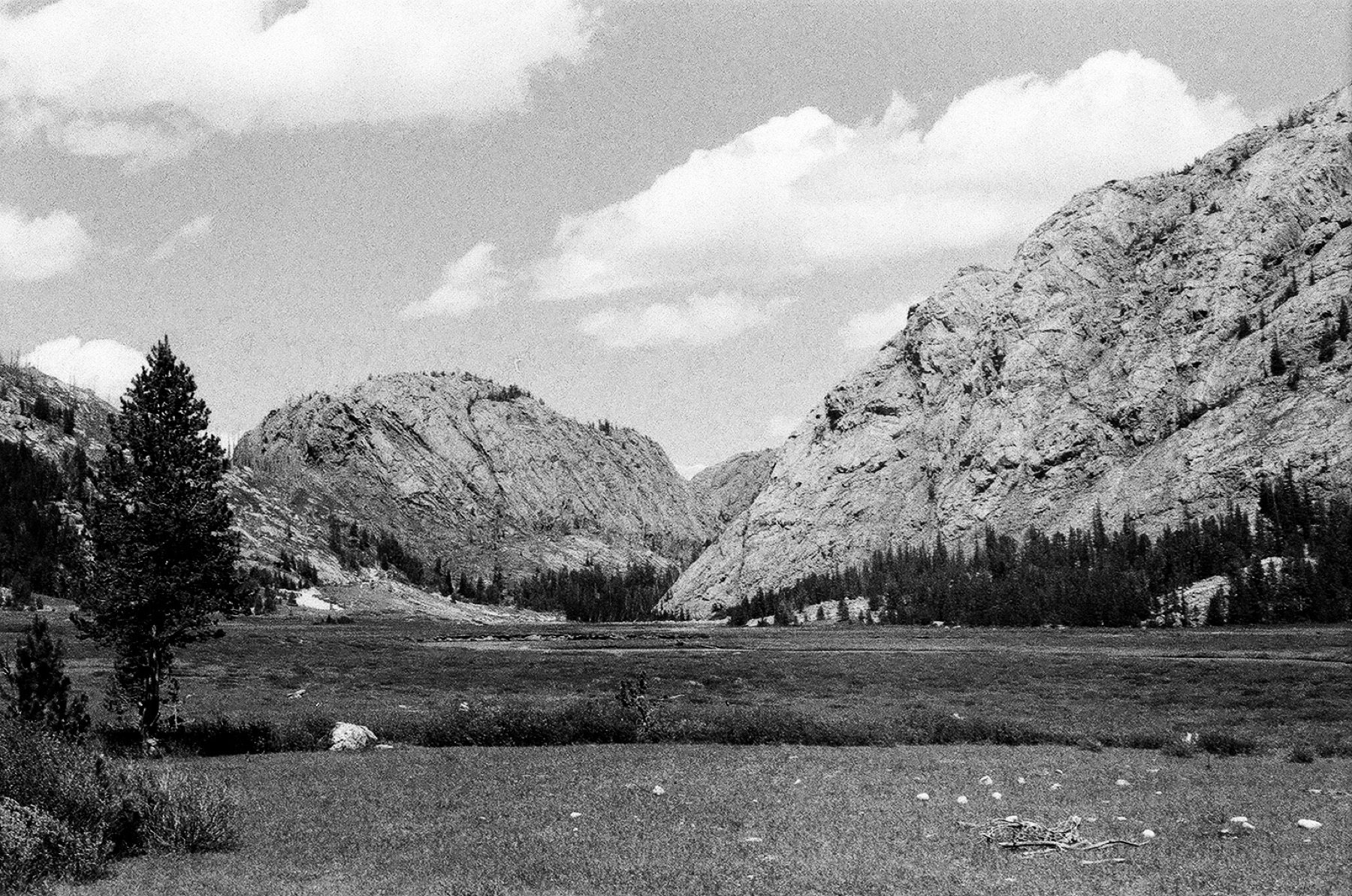 Untitled photograph from Wyoming, June 2026
