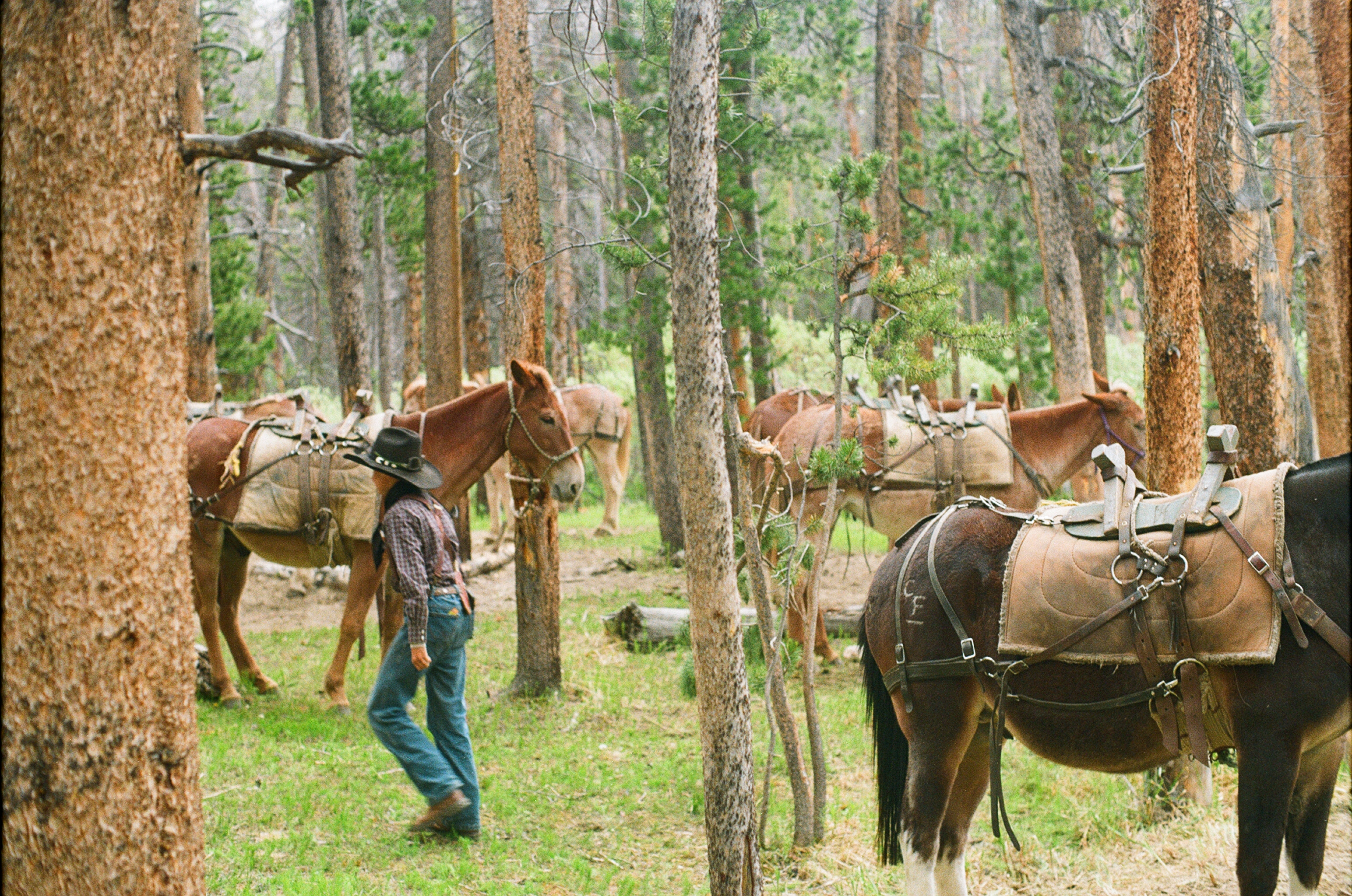 Untitled photograph from Wyoming, June 2026