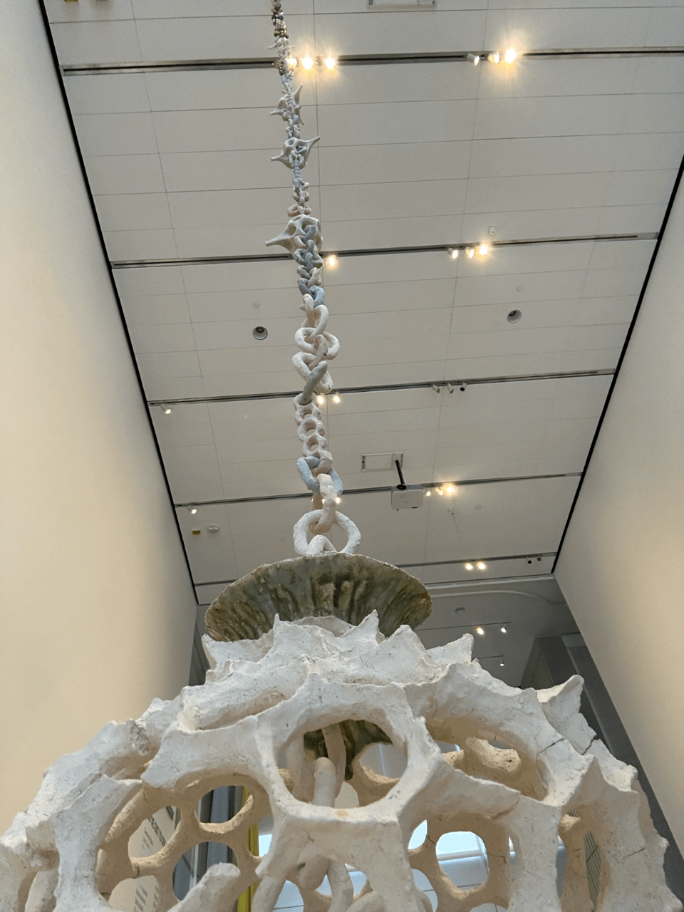 Close-up view of Pot and its ceramic chain, Fall 2024